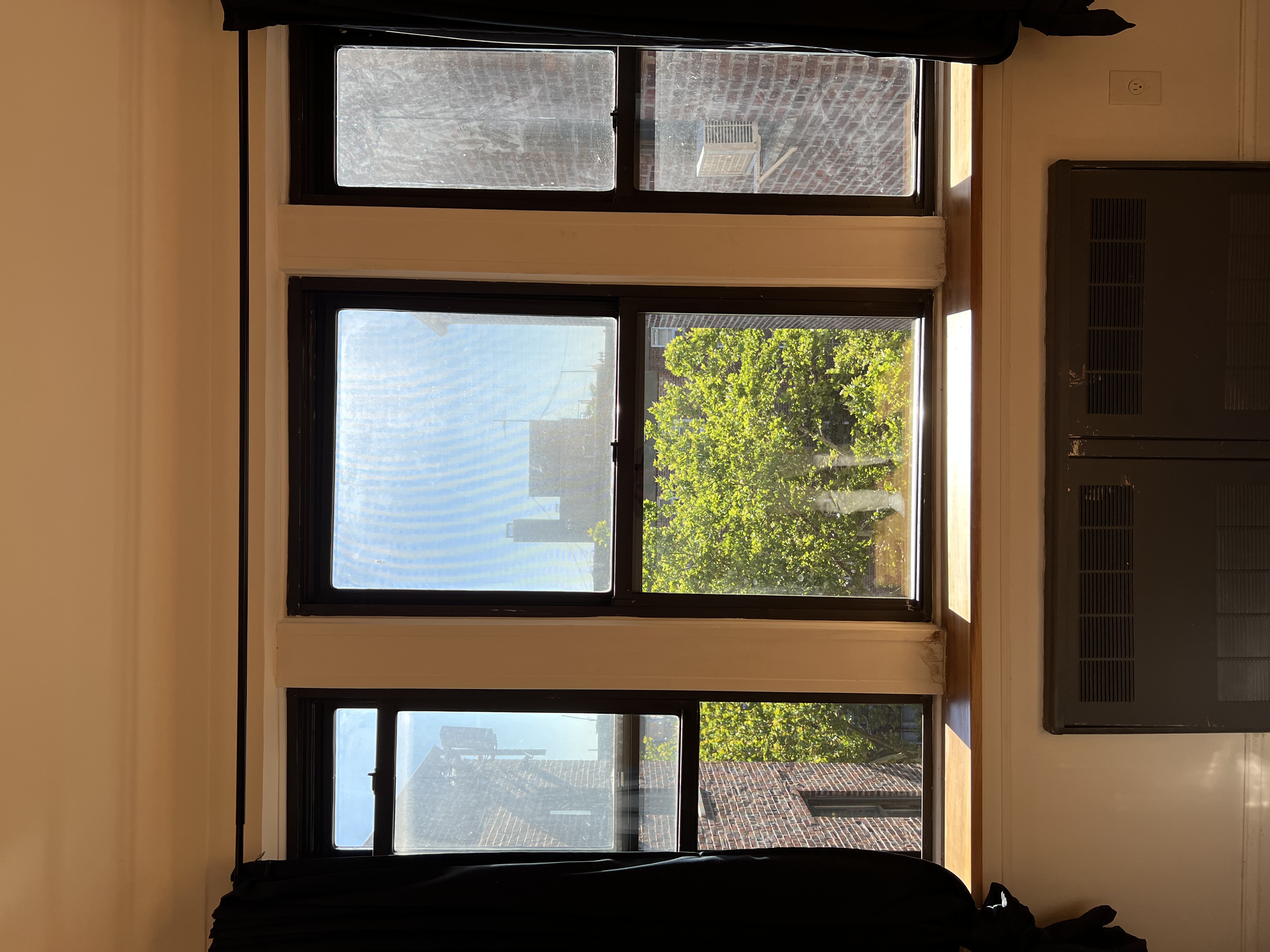 Living Room windows